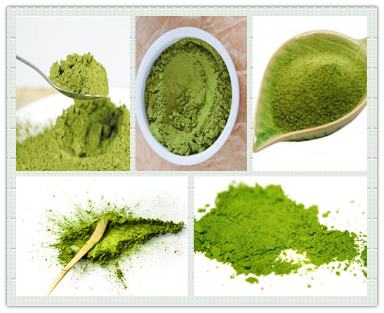 Bright Green & Best Aroma of Great Rise Matcha-Xmgreatrise-Matcha