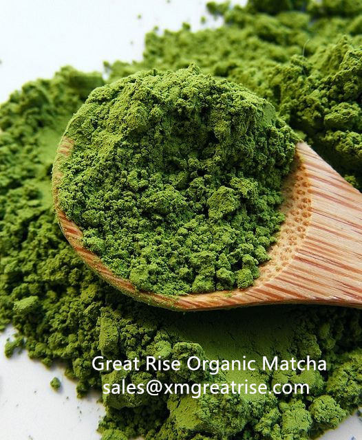 ๐ต 5 Fun Facts About Matcha-Xmgreatrise-Matcha